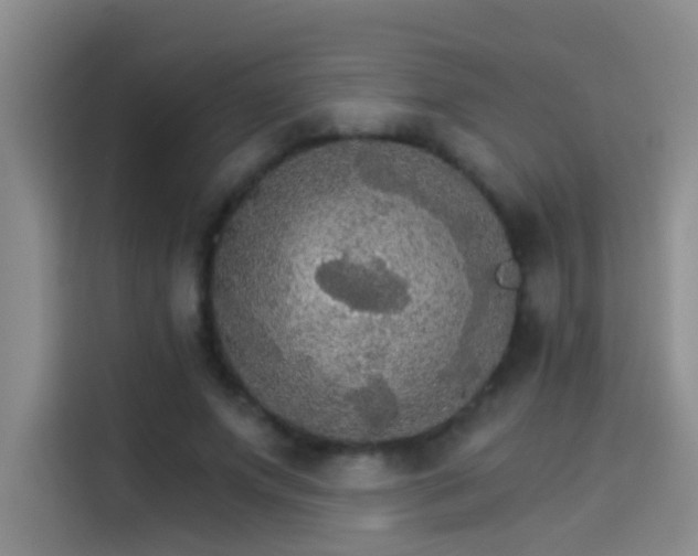 X0000114080687200910131237