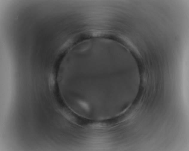 X0000114080691200910131237