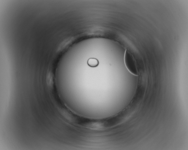 X0000114080692200910131237