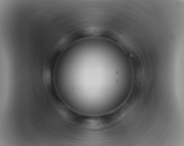 X0000114080693200910131237