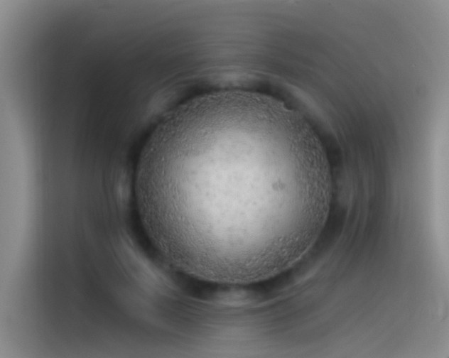 X0000114080695200910131237