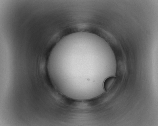 X0000114080698200910131237