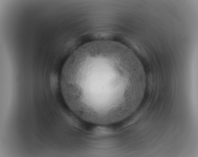 X0000114080699200910131237