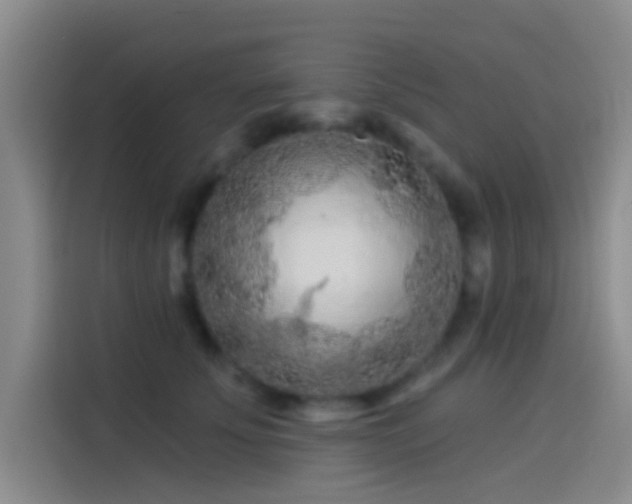 X0000114080707200910131236