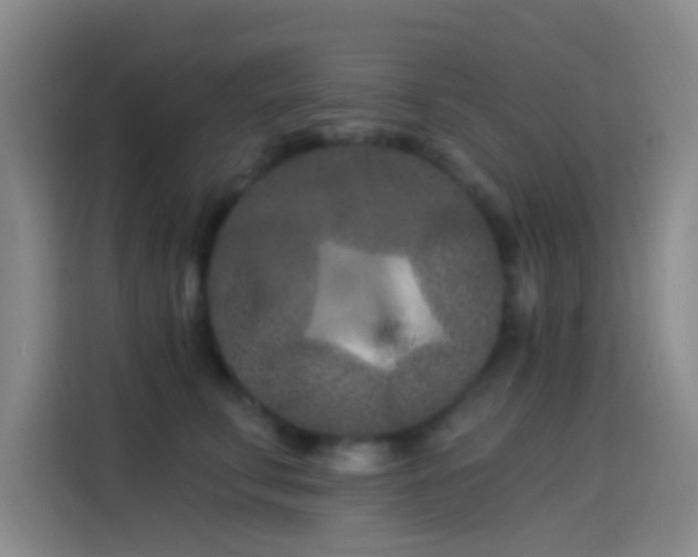 X0000114080711200910131236