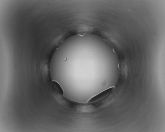 X0000114080716200910131236