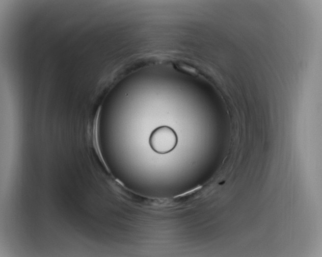 X0000114080720200910131236