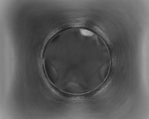 X0000114080721200910131236