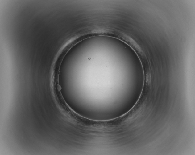 X0000114080724200910131236