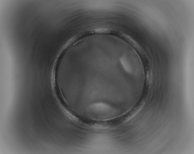 X0000114080725200910131236