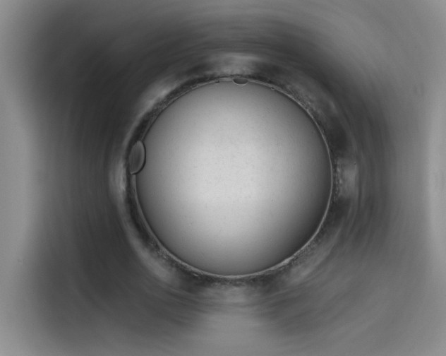 X0000114080726200910131236