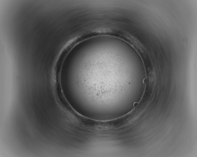 X0000114080727200910131236