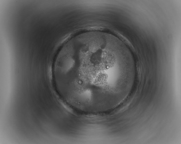 X0000114080729200910131236