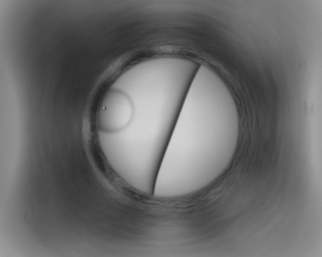 X0000114080734200910131236