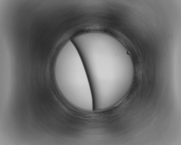 X0000114080735200910131236