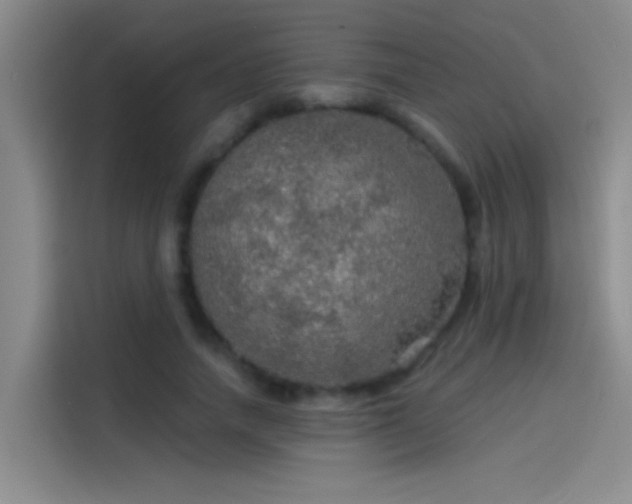 X0000114080738200910131236