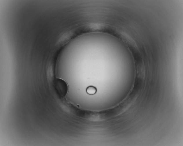 X0000114080740200910131236