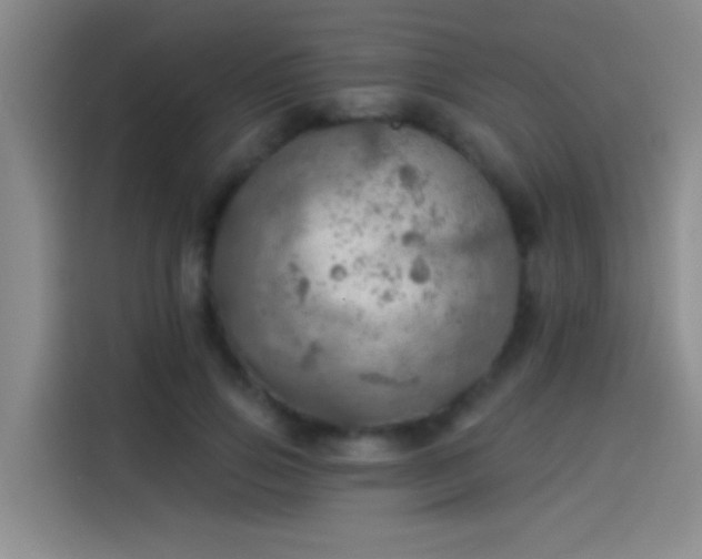 X0000114080741200910131236