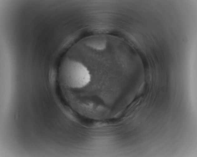 X0000114080742200910131236