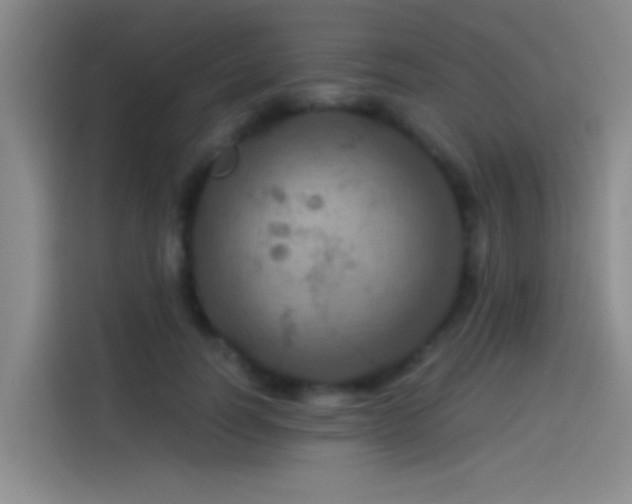 X0000114080746200910131236