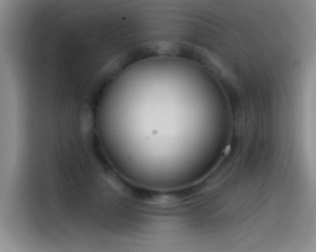 X0000114080748200910131236