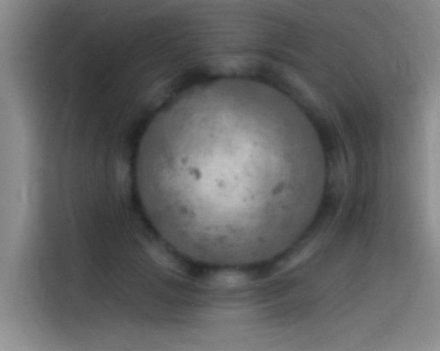 X0000114080749200910131236