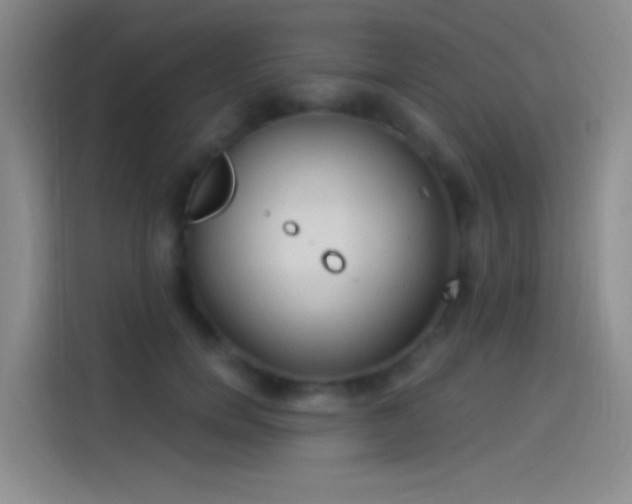 X0000114080750200910131236