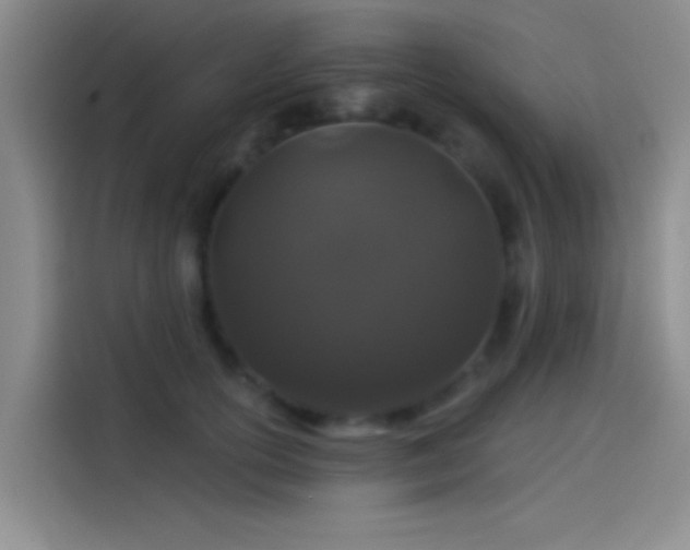 X0000114080754200910131236