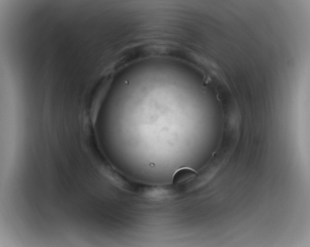 X0000114080759200910131236