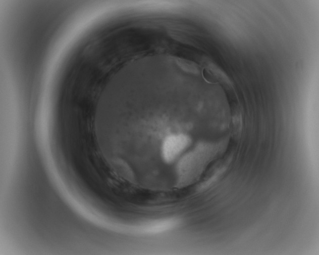 X0000114080765200910131236