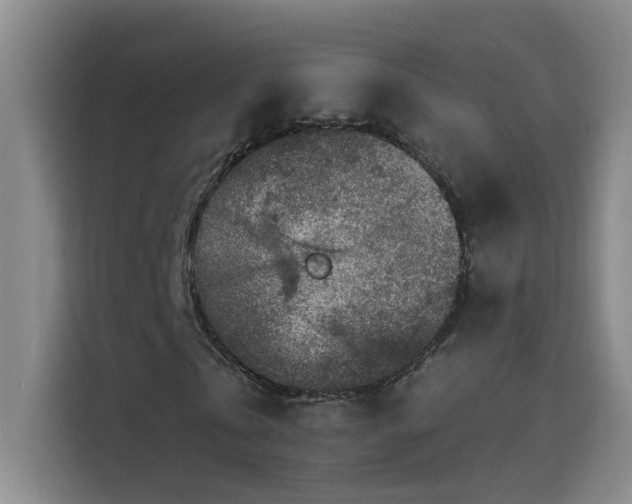 X0000114080769200910131236