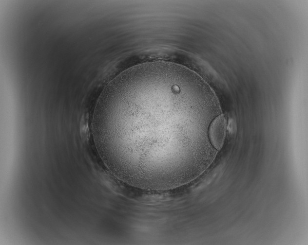 X0000114080771200910131236