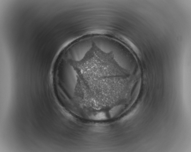 X0000114080779200910131235