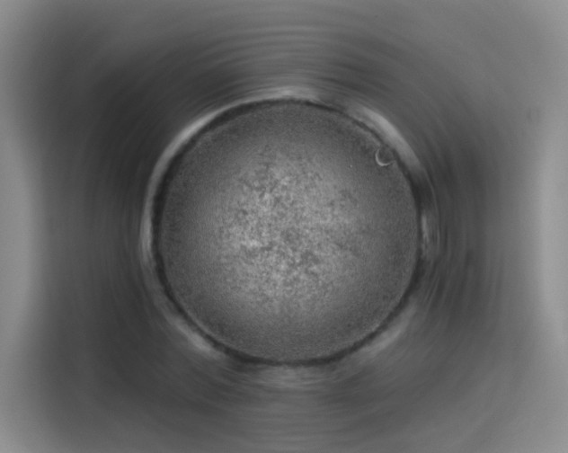 X0000114080780200910131235