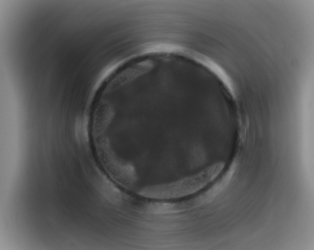 X0000114080783200910131235