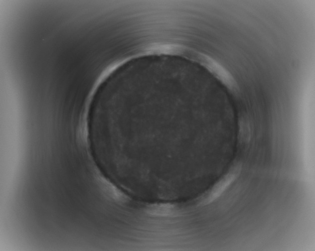 X0000114080784200910131235