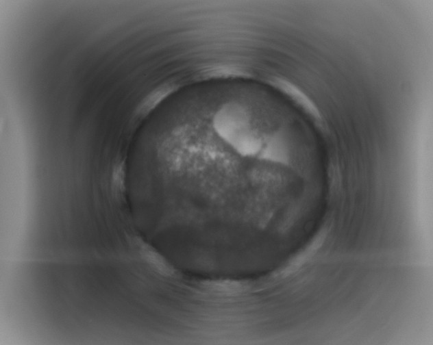 X0000114080785200910131235