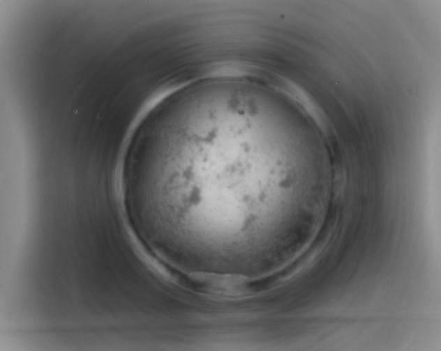 X0000114080795200910131235