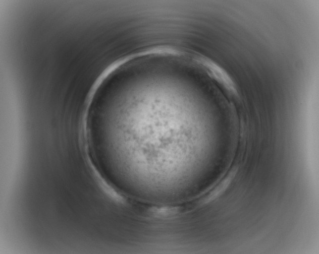 X0000114080808200910131235