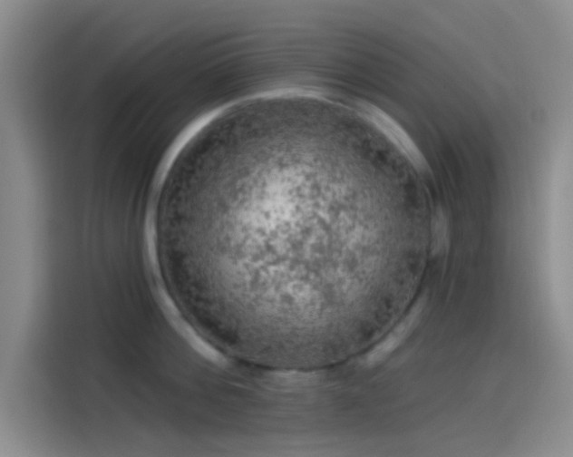 X0000114080812200910131235