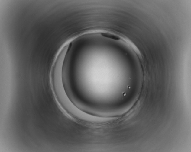 X0000114080813200910131235