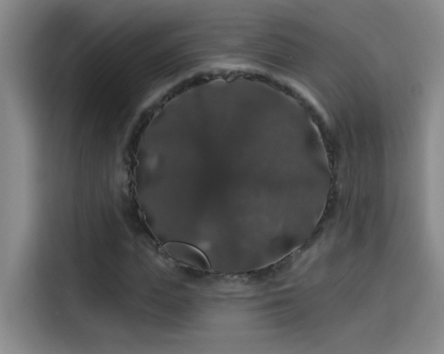 X0000114080823200910131234