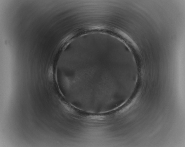 X0000114080825200910131234