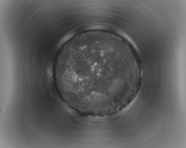 X0000114080826200910131234