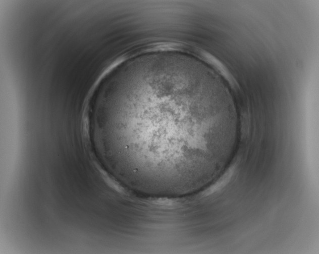 X0000114080827200910131234