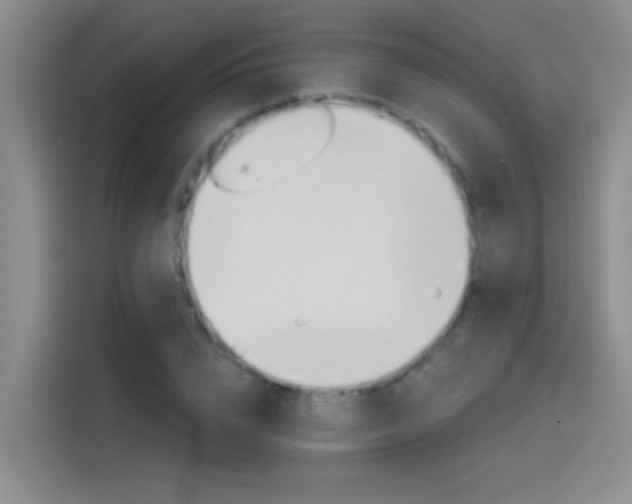 X0000114080832200910131235