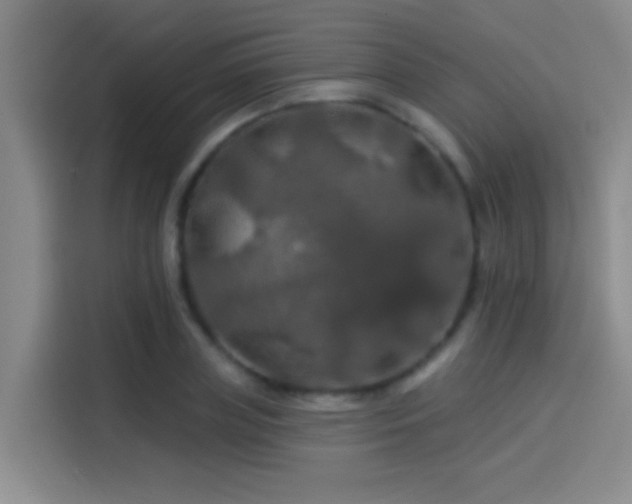 X0000114080835200910131235