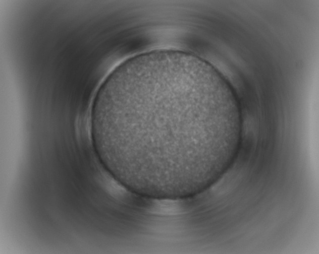 X0000114080836200910131235