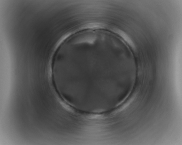 X0000114080837200910131235