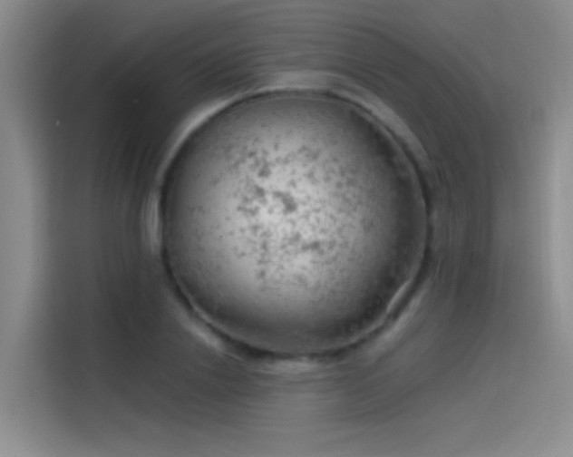 X0000114080838200910131235